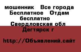 мошенник - Все города Бесплатное » Отдам бесплатно   . Свердловская обл.,Дегтярск г.